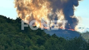 Požar u istri